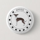 Buscar galgos chapas Lindo