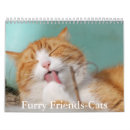 Buscar gatos lindos calendarios Animal