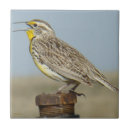 Buscar occidental azulejos General y unisex