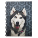 Buscar husky libretas Cachorro