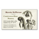 Buscar plantas tarjetas de visita Jefes