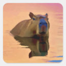 Buscar capybara postales América del sur