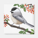 Buscar chickadee imanes Chickadee capsulado negro