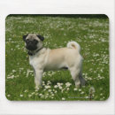 Buscar carlin alfombrillas de raton Barro amasado