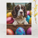 Buscar english springer spaniel tarjetas Para todos