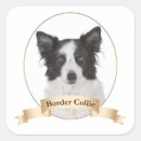 Buscar border collie pegatinas Perro