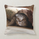 Buscar pliegues cojines Marrón