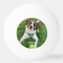 Buscar perros pelotas de ping pong Moderno