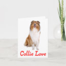 Buscar collie tarjetas Cachorro