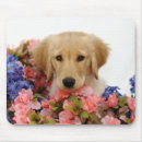 Buscar golden retriever alfombrillas de raton Flores