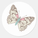 Buscar mariposa marrón postales Invitados