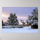 Buscar árboles de hoja perenne posters Nieve