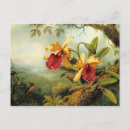 Buscar colibríes coloridos postales Pintura