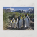 Buscar la antártida postales Azul