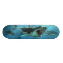 Buscar ataque tablas de skate Tiburones