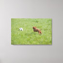 Buscar futbol lienzos Exterior