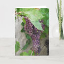 Buscar uvas púrpuras tarjetas Vid
