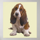Buscar afloramiento posters Perrito