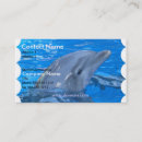 Buscar delfín tarjetas de visita Náutico