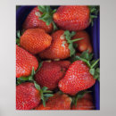 Buscar mercado libre posters Frescura