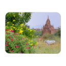 Buscar birmania imanes Torre