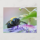 Buscar macro postales Jardín