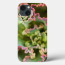 Buscar ornamental ipad fundas Nadie