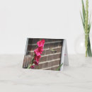 Buscar gladiolos tarjetas General y unisex