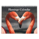 Buscar flamingo calendarios Pájaros