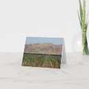 Buscar viñedo tarjetas Verano