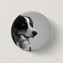 Buscar perro chapas Para mascotas