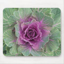 Buscar planta alfombrillas de raton General y unisex