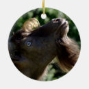 Buscar peluquero adornos Moderno
