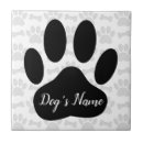 Buscar hueso de perro azulejos Negro