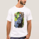 Buscar racimo de uvas ropa Europeo