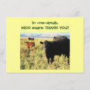 Buscar becerros tarjetas General y unisex