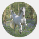 Buscar caballo de madera pegatinas Ecuestre
