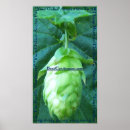 Buscar brew posters Cervecería
