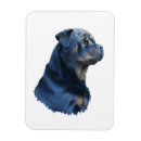 Buscar rottweiler imanes Cachorro