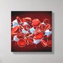 Buscar 3d lienzos Imagen cuadrada