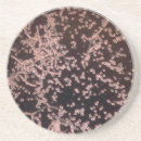 Buscar microscopio posavasos Biología