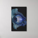 Buscar músculo lienzos Ilustracion