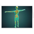 Buscar cuerpo humano postales Ilio