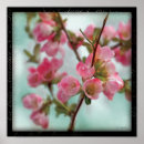 Buscar membrillo posters Naturaleza
