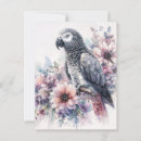 Buscar loro gris postales Naturaleza