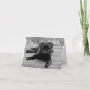 Buscar puño negro tarjetas Perro