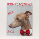 Buscar galgos puzzles De galgo