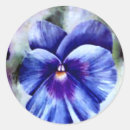 Buscar violas pegatinas Jardín