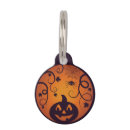 Buscar linterna collares Halloween
