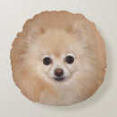 Buscar pomeranian cojines Lindo